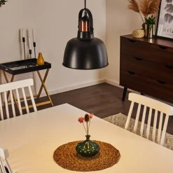 Lampes Industrielles-hofstein Suspension Fieberbrunn Noir, 1 lumière