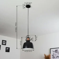 Lampes Industrielles-hofstein Suspension Fieberbrunn Noir, 1 lumière