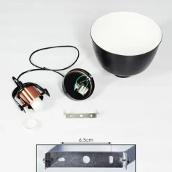 Lampes Industrielles-hofstein Suspension Fieberbrunn Noir, 1 lumière