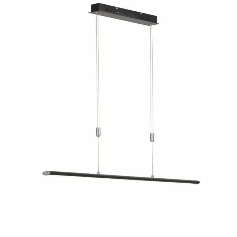 Luminaires Fischer & Honsel Suspension Fischer & Honsel Beat TW LED Noir, 1 lumière* Suspensions