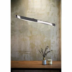 Luminaires Fischer & Honsel Suspension Fischer & Honsel Bridge LED Noir, 1 lumière* Éclairage Led