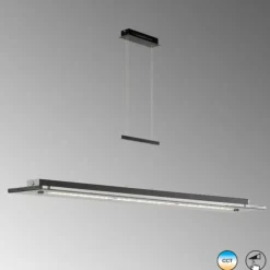 Suspension Verre Fumé-Luminaires Fischer & Honsel Suspension Fischer & Honsel Bill LED Noir, 1 lumière