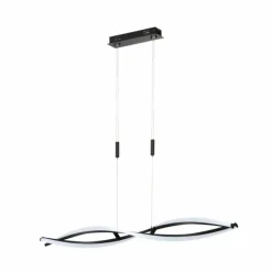 Luminaires Fischer & Honsel Suspension Fischer & Honsel Torcido LED Noir, 1 lumière, Télécommandes