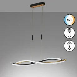 Luminaires Fischer & Honsel Suspension Fischer & Honsel Torcido LED Noir, 1 lumière, Télécommandes