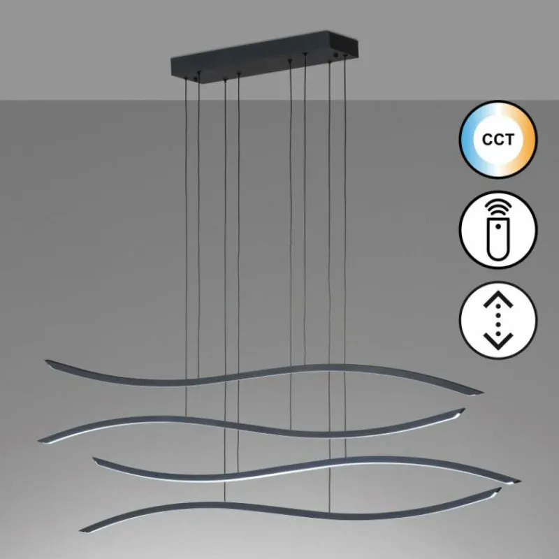 Luminaires Fischer & Honsel Suspension Fischer & Honsel Fisk LED Noir, 1 lumière, Télécommandes* Éclairage Led