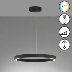 Luminaires Fischer & Honsel Suspension Fischer & Honsel Sirko LED Noir, 1 lumière, Télécommandes