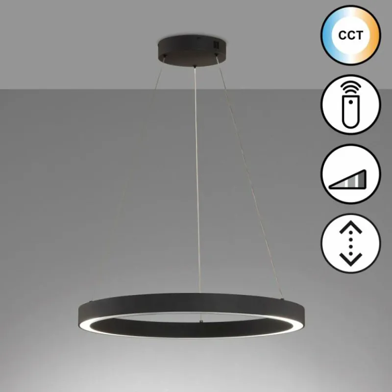 Luminaires Fischer & Honsel Suspension Fischer & Honsel Sirko LED Noir, 1 lumière, Télécommandes