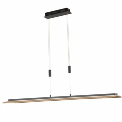 Luminaires Fischer & Honsel Suspension Fischer & Honsel SHINE-WOOD LED Noir, 1 lumière* Suspensions