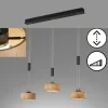 Luminaires Fischer & Honsel Suspension Fischer & Honsel SHINEWOOD LED Noir, 3 lumières* Suspensions