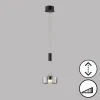 Suspension Verre Fumé-Luminaires Fischer & Honsel Suspension Fischer & Honsel Lavin LED Noir, 1 lumière