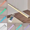hofstein Suspension Flaut LED Chrome, 1 lumière, Télécommandes, Changeur de couleurs* Suspensions