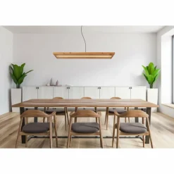 Luminaires Scandinaves-Luminaires Globo Lighting Suspension Globo ALINA LED Noir, 1 lumière