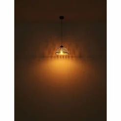 Luminaires Globo Lighting Suspension Globo COLLY Noir, 1 lumière* Suspensions