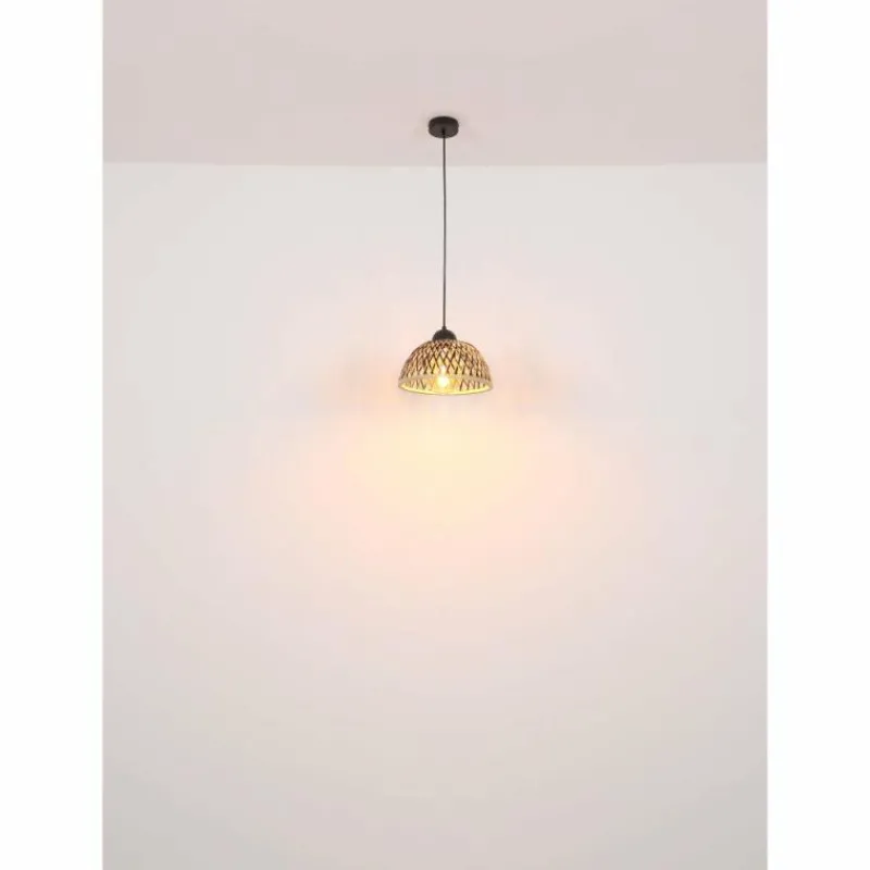 Luminaires Globo Lighting Suspension Globo COLLY Noir, 1 lumière* Suspensions