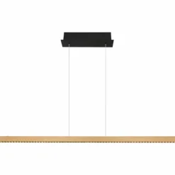 Luminaires Globo Lighting Suspension Globo DENTSY LED Noir, 1 lumière* Éclairage Led