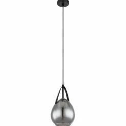 Suspension Verre Fumé-Luminaires Globo Lighting Suspension Globo DIETHILD Noir, 1 lumière
