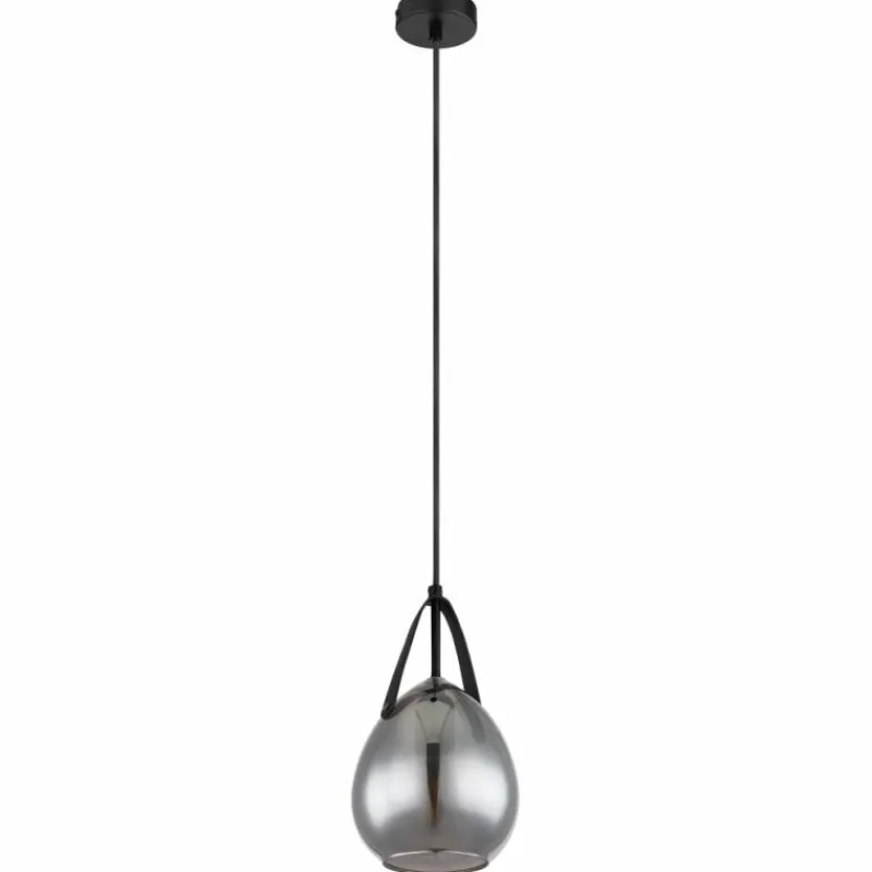 Suspension Verre Fumé-Luminaires Globo Lighting Suspension Globo DIETHILD Noir, 1 lumière