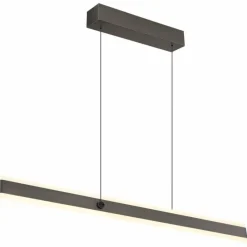 Luminaires Globo Lighting Suspension Globo GEBALDO LED Titane, 1 lumière, Télécommandes* Éclairage Led