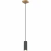 Luminaires Globo Lighting Suspension Globo ROBBY Noir, 1 lumière* Suspensions