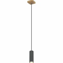 Luminaires Globo Lighting Suspension Globo ROBBY Noir, 1 lumière* Suspensions