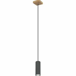 Luminaires Globo Lighting Suspension Globo ROBBY Noir, 1 lumière* Suspensions