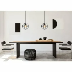 Luminaires Globo Lighting Suspension Globo TAMARA Noir, 1 lumière* Suspensions