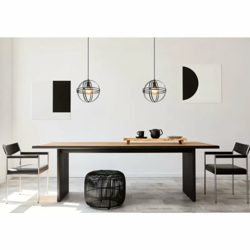 Luminaires Globo Lighting Suspension Globo TAMARA Noir, 1 lumière* Suspensions