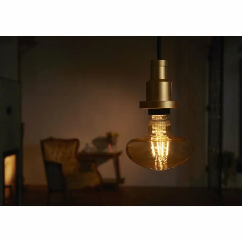 Lampes Dorées-Luminaires Ledvance Suspension LEDVANCE VINTAGE Or, 1 lumière