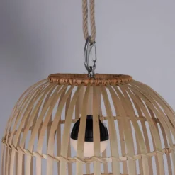 Style Boho-Chic-Luminaires Leuchten Direkt Suspension Leuchten Direkt DAVID LED Brun, 1 lumière, Télécommandes, Changeur de couleurs