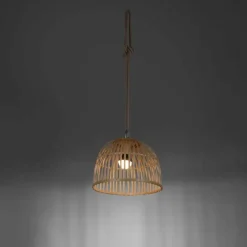 Style Boho-Chic-Luminaires Leuchten Direkt Suspension Leuchten Direkt DAVID LED Brun, 1 lumière, Télécommandes, Changeur de couleurs