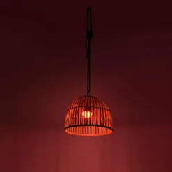 Style Boho-Chic-Luminaires Leuchten Direkt Suspension Leuchten Direkt DAVID LED Brun, 1 lumière, Télécommandes, Changeur de couleurs