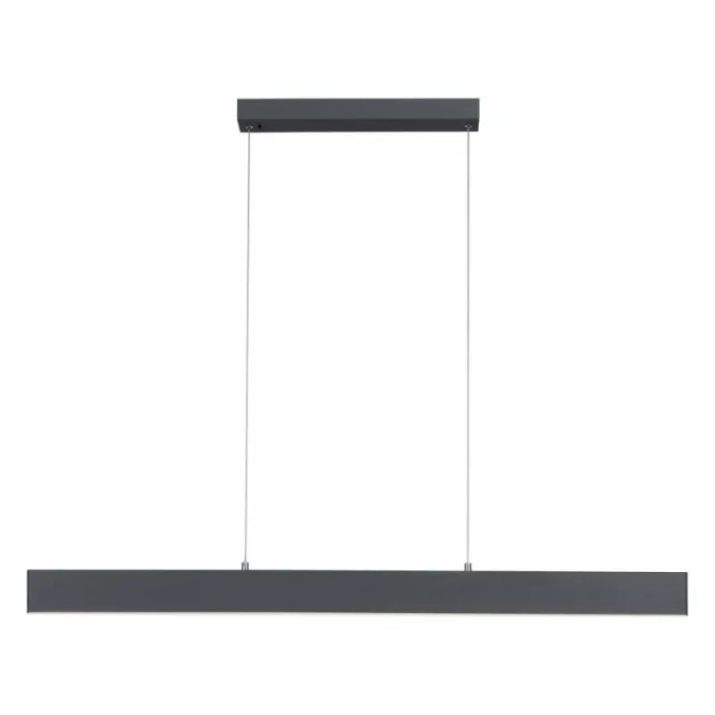Luminaires Leuchten Direkt Suspension Leuchten-Direkt NILA LED Anthracite, 2 lumières, Télécommandes