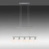 Luminaires Leuchten Direkt Suspension Leuchten-Direkt BENEDIKT Acier brossé, 5 lumières