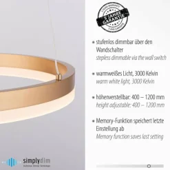 Luminaires Paul Neuhaus Suspension Leuchten-Direkt TITUS LED Laiton, 1 lumière* Éclairage Led