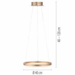 Luminaires Paul Neuhaus Suspension Leuchten-Direkt TITUS LED Laiton, 1 lumière* Éclairage Led