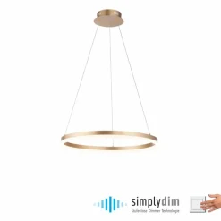 Luminaires Paul Neuhaus Suspension Leuchten-Direkt TITUS LED Laiton, 1 lumière* Éclairage Led