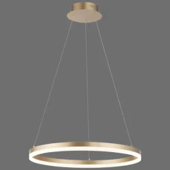 Luminaires Paul Neuhaus Suspension Leuchten-Direkt TITUS LED Laiton, 1 lumière* Éclairage Led