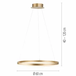 Luminaires Paul Neuhaus Suspension Leuchten-Direkt TITUS LED Laiton, 1 lumière* Éclairage Led