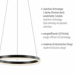 Luminaires Leuchten Direkt Suspension Leuchten-Direkt RITUS LED Anthracite, 1 lumière* Éclairage Led