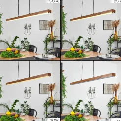 Lampes En Bois-hofstein Suspension Maumela LED Noir, 1 lumière