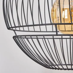 Lampes Industrielles-hofstein Suspension Pampanillo Noir, 1 lumière