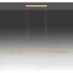 Luminaires Scandinaves-Luminaires Paul Neuhaus Suspension Paul Neuhaus ADRIANA LED Laiton, 3 lumières