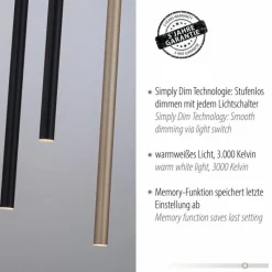 Lampes Dorées-Luminaires Paul Neuhaus Suspension Paul Neuhaus FLUTE LED Noir, 10 lumières