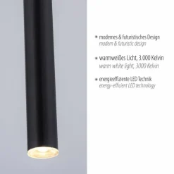 Luminaires Paul Neuhaus Suspension Paul Neuhaus FLUTE LED Noir, 1 lumière* Éclairage Led
