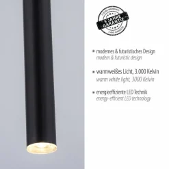 Luminaires Paul Neuhaus Suspension Paul Neuhaus FLUTE LED Noir, 1 lumière* Éclairage Led