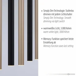 Lampes Dorées-Luminaires Paul Neuhaus Suspension Paul Neuhaus FLUTE LED Noir, 7 lumières