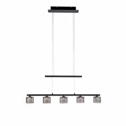 Suspension Verre Fumé-Luminaires Paul Neuhaus Suspension Paul Neuhaus HYDRA LED Noir, 5 lumières