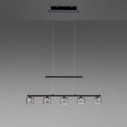 Suspension Verre Fumé-Luminaires Paul Neuhaus Suspension Paul Neuhaus HYDRA LED Noir, 5 lumières