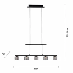 Suspension Verre Fumé-Luminaires Paul Neuhaus Suspension Paul Neuhaus HYDRA LED Noir, 5 lumières