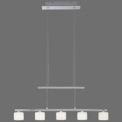 Luminaires Paul Neuhaus Suspension Paul Neuhaus HYDRA LED Acier brossé, 5 lumières